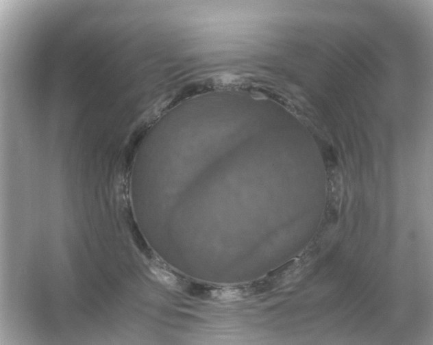 X0000066000419200603242037