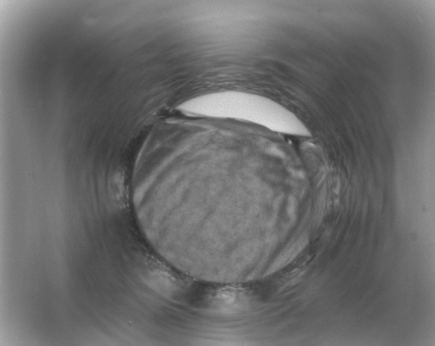X0000066000420200603242036