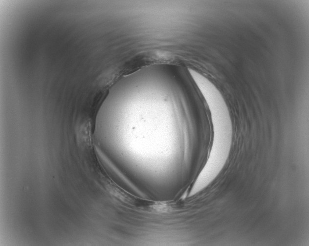 X0000066000425200603242036