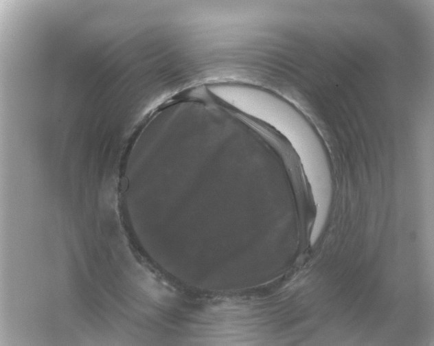 X0000066000434200603242036