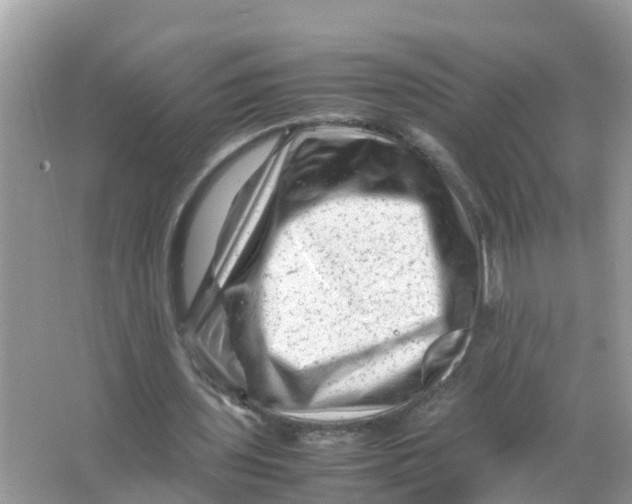 X0000066000435200603242036