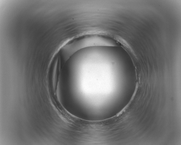 X0000066000436200603242036