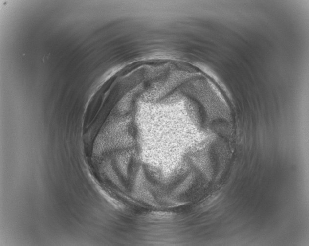 X0000066000437200603242036