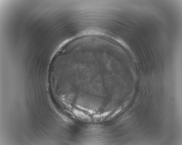 X0000066000438200603242036