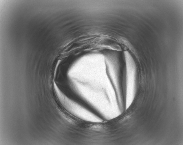 X0000066000441200603242036
