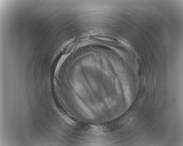 X0000066000442200603242036