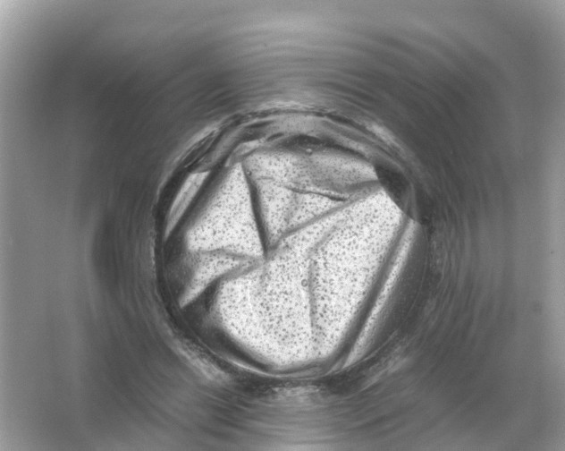 X0000066000446200603242036