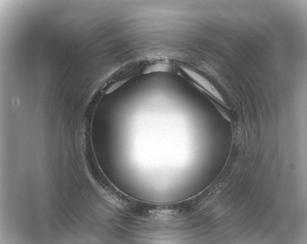 X0000066000448200603242036