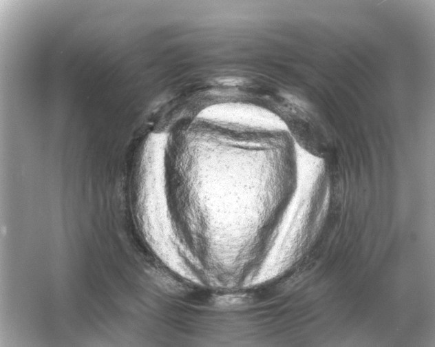 X0000066000461200603242036