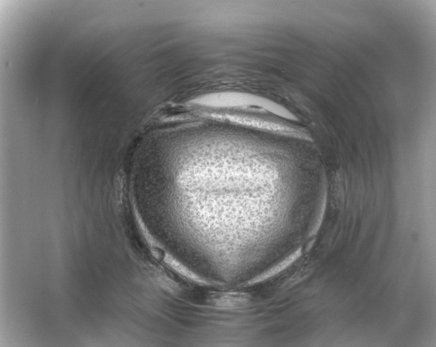X0000066000463200603242036