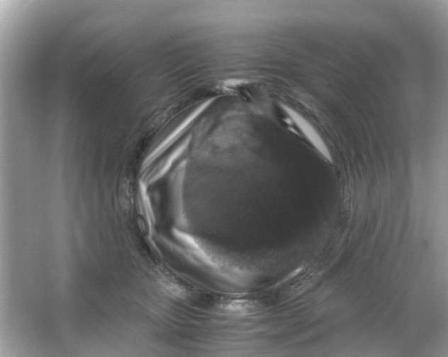 X0000066000467200603242036