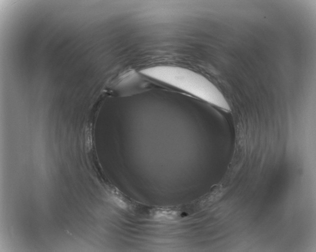 X0000066000471200603242036