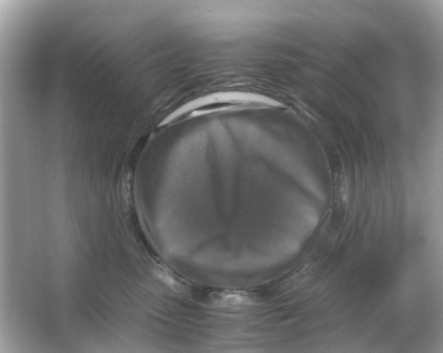 X0000066000475200603242036