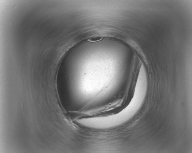 X0000066000481200603242035