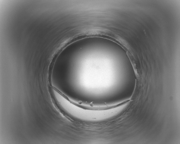 X0000066000485200603242035