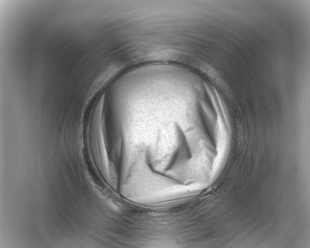 X0000066000486200603242035
