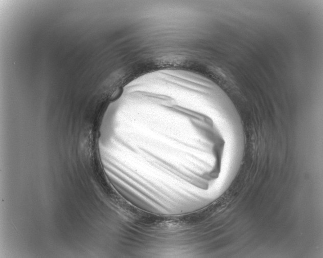X0000066000498200603242035