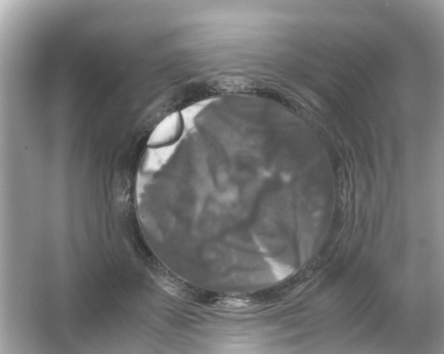 X0000066000507200603242035