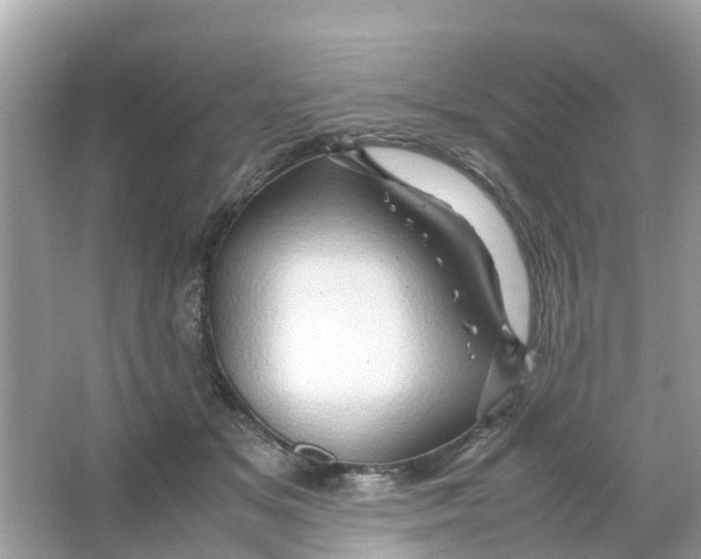 X0000066000509200603242035