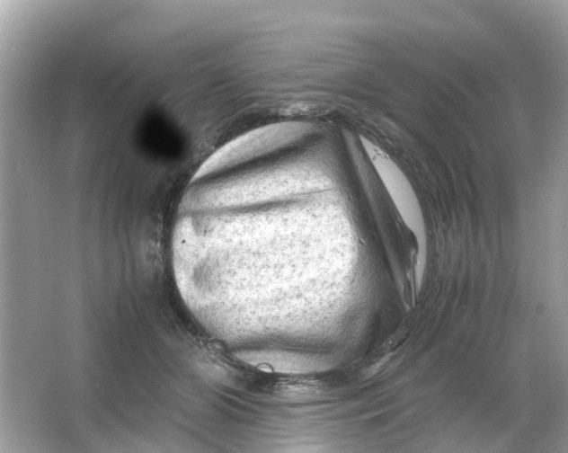 X0000066000510200603242035