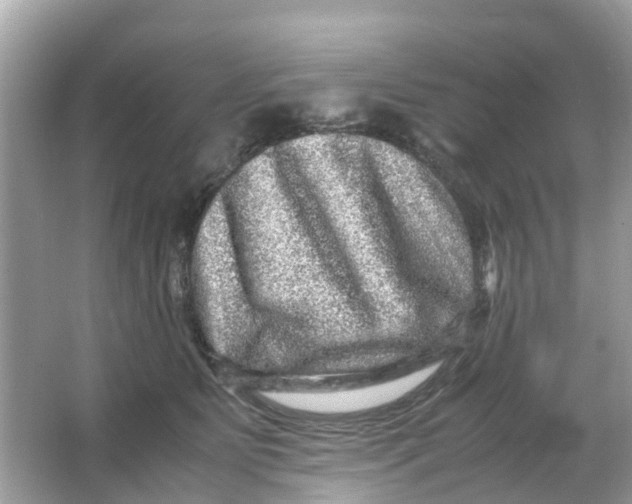 X0000066000515200603242035