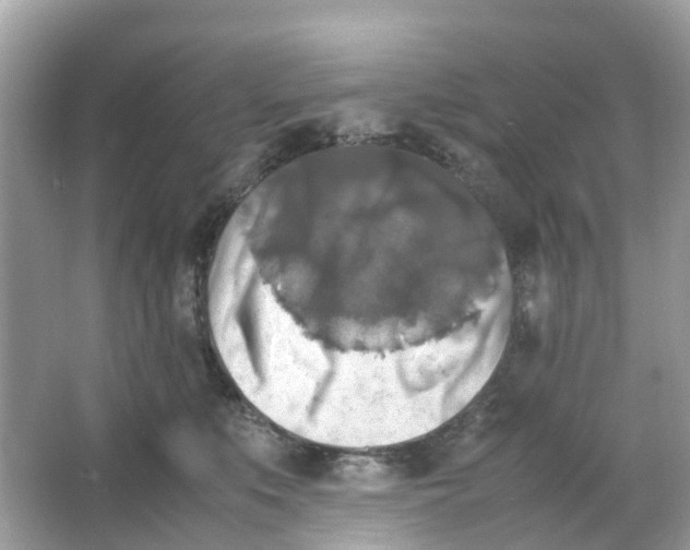 X0000066000519200603242035