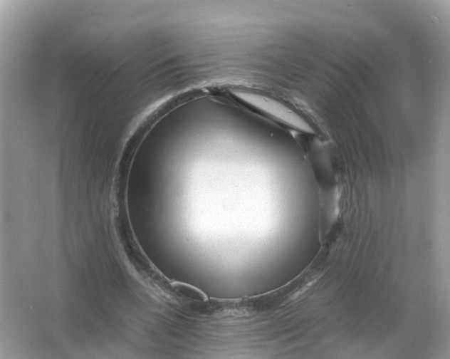 X0000066000536200603242034