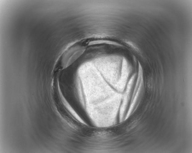 X0000066000540200603242034
