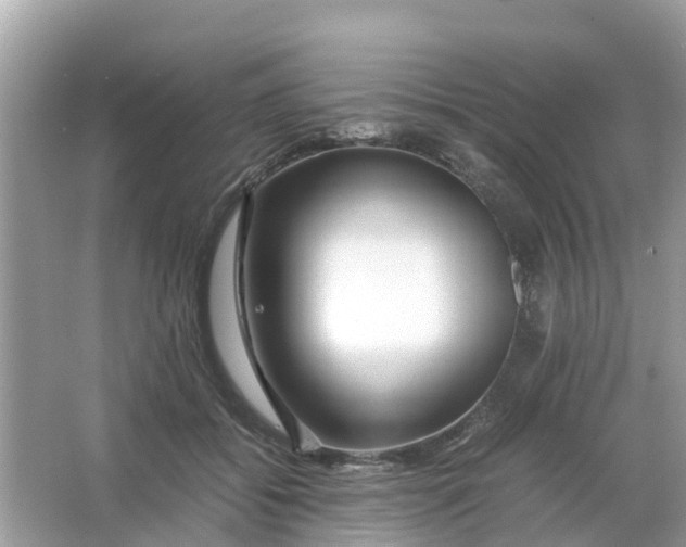 X0000066000556200603242034