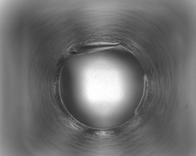 X0000066000558200603242034