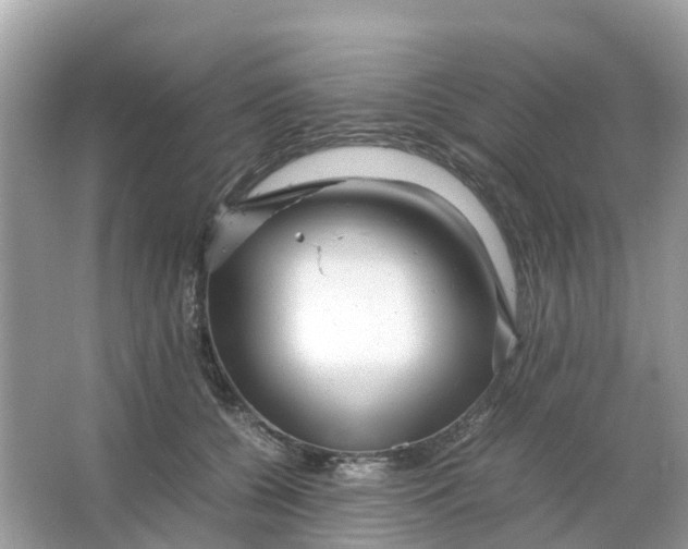 X0000066000560200603242034