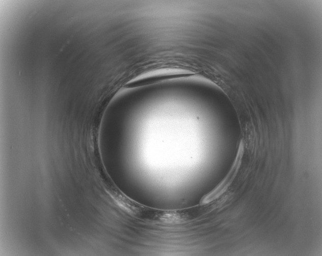 X0000066000562200603242034