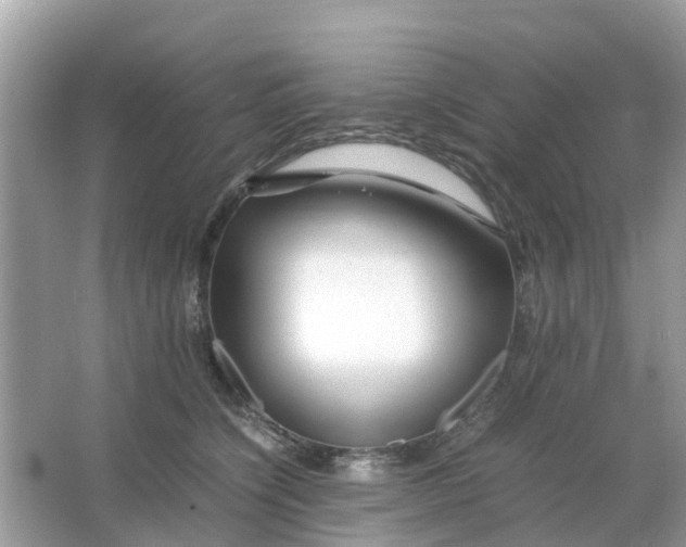 X0000066000564200603242034