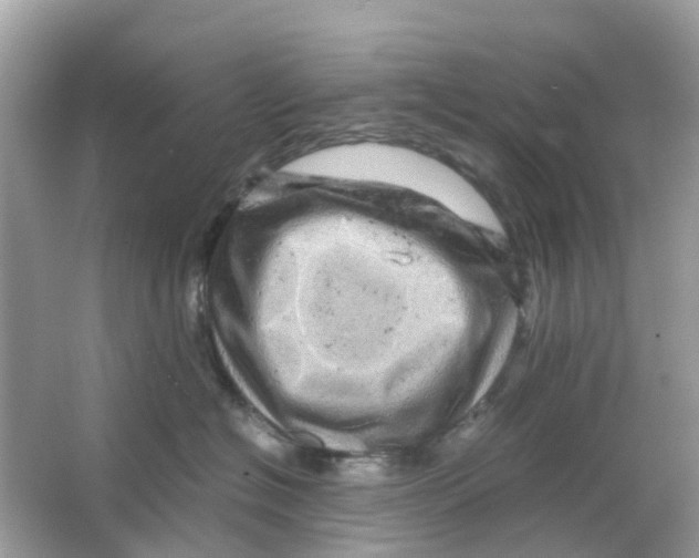 X0000066000574200603242035