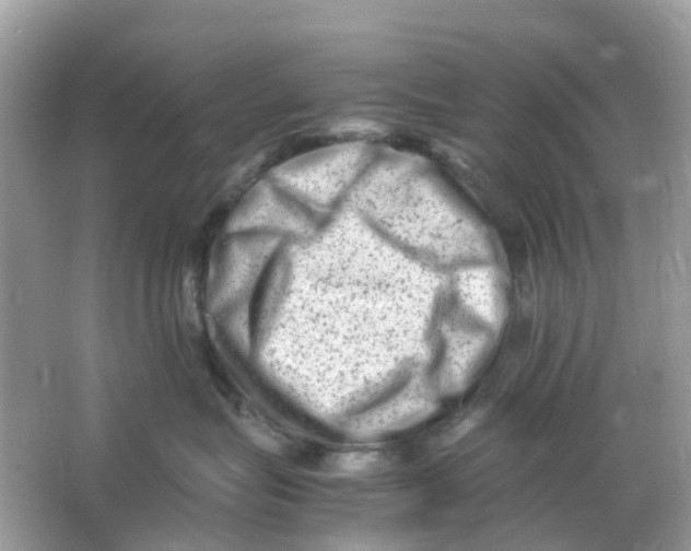 X0000066000575200603242035