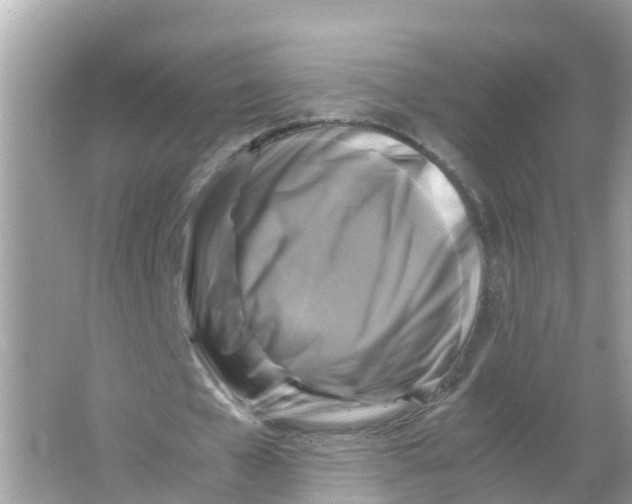 X0000066000577200603242034