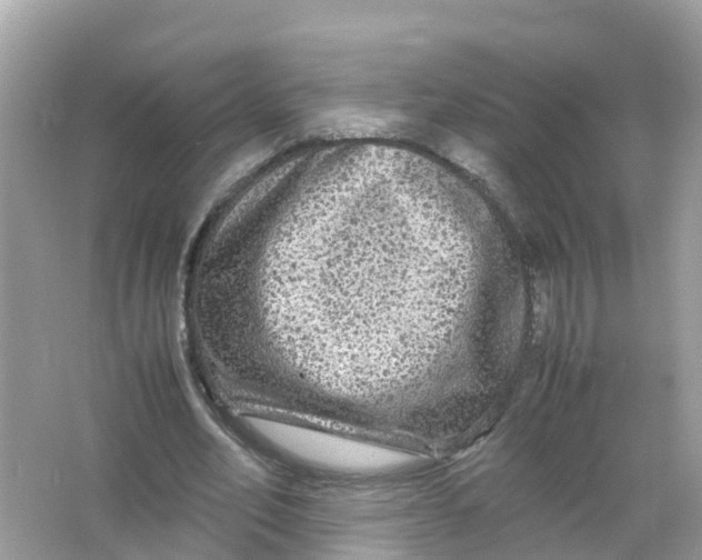 X0000066000582200603242034