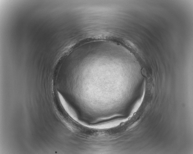 X0000066000589200603242034