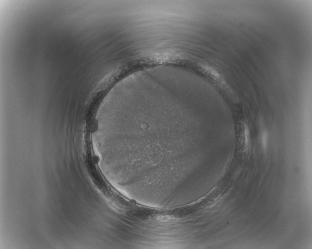 X0000066000590200603242034