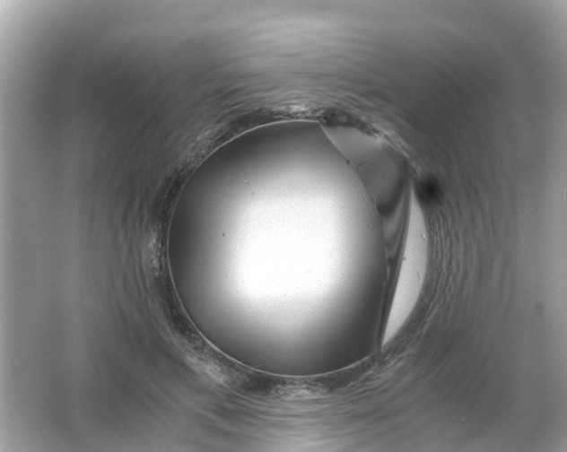 X0000066000597200603242033