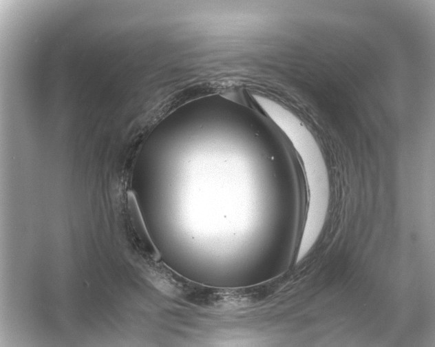 X0000066000601200603242033