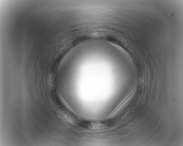 X0000066000605200603242033