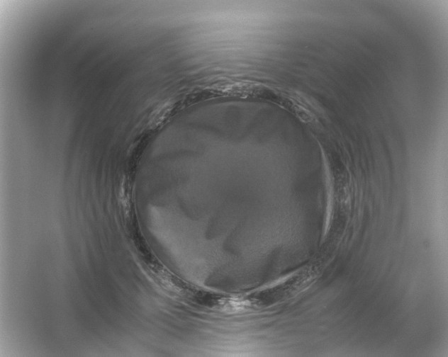 X0000066000607200603242033