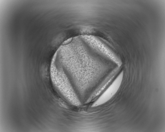 X0000066000619200603242033