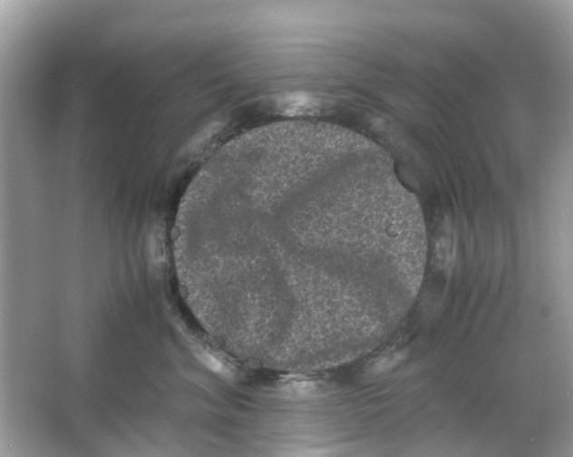 X0000066000620200603242033