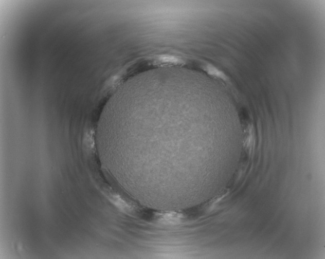 X0000066000621200603242033