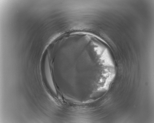 X0000066000626200603242032