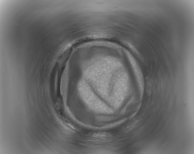 X0000066000631200603242032