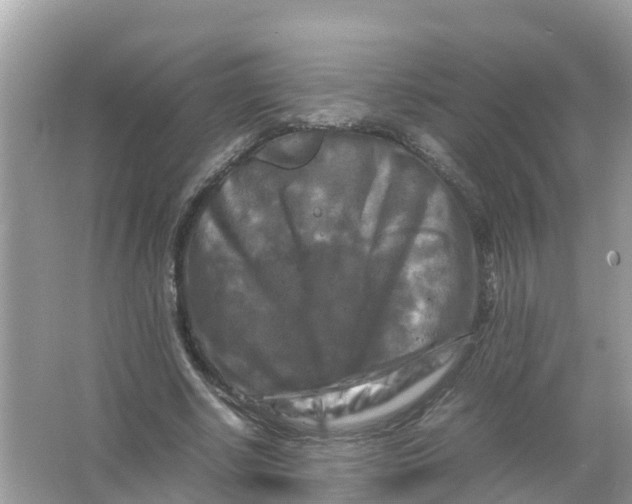 X0000066000634200603242032