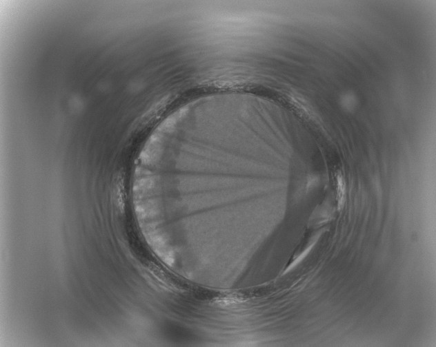X0000066000644200603242033